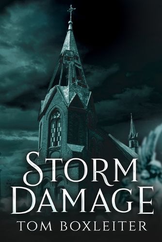 Cover image for Storm Damage