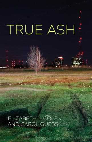 Cover image for True Ash