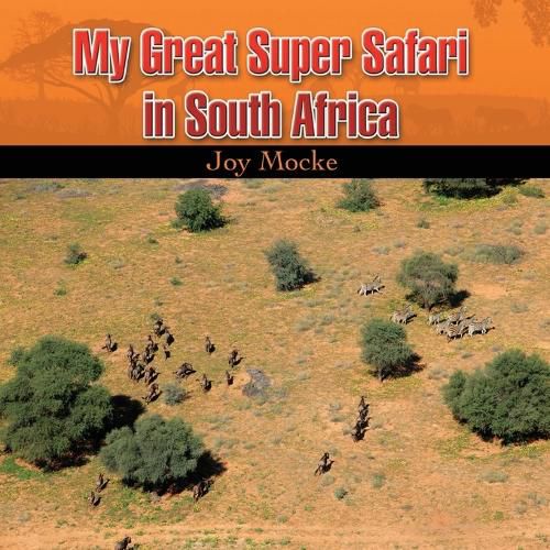 Cover image for My great Super Safari in South Africa