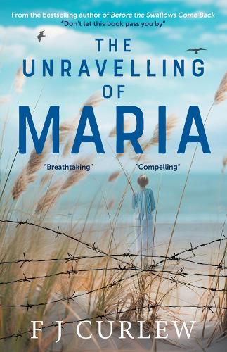 Cover image for The Unravelling Of Maria