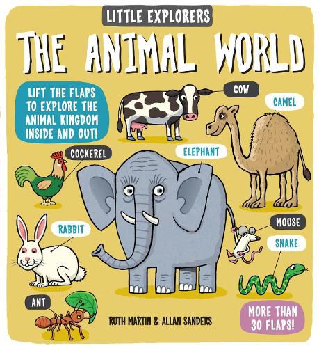 Cover image for Little Explorers: The Animal World
