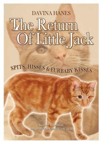 Cover image for The Return of Little Jack