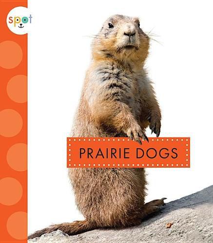 Cover image for Prairie Dogs