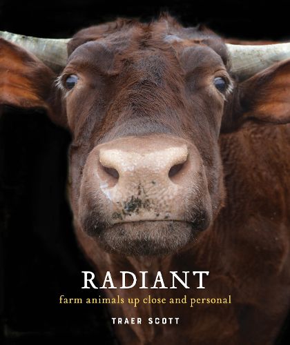 Radiant: Farm Animals Up Close and Personal