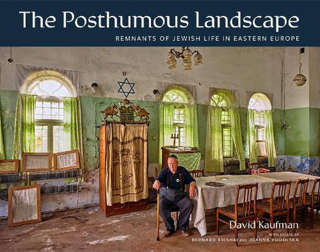 Cover image for The Posthumous Landscape