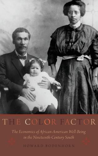 Cover image for The Color Factor: The Economics of African-American Well-Being in the Nineteenth-Century South