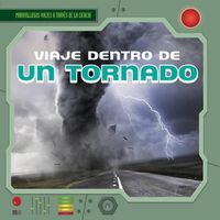 Cover image for Viaje Dentro de Un Tornado (a Trip Inside a Tornado)