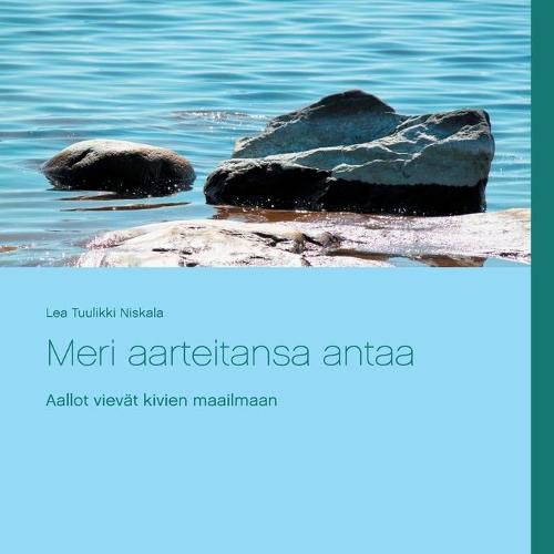 Cover image for Meri aarteitansa antaa: Rantakivien ihmeellinen maailma