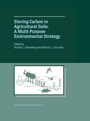 Cover image for Storing Carbon in Agricultural Soils: A Multi-Purpose Environmental Strategy