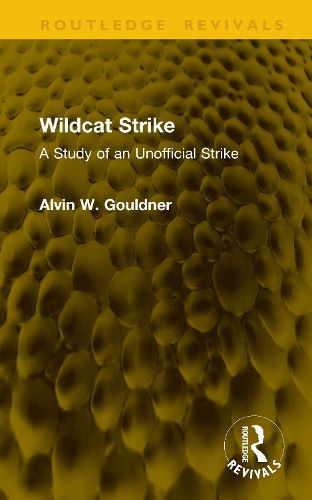 Cover image for Wildcat Strike