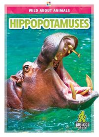 Cover image for Hippopotamuses