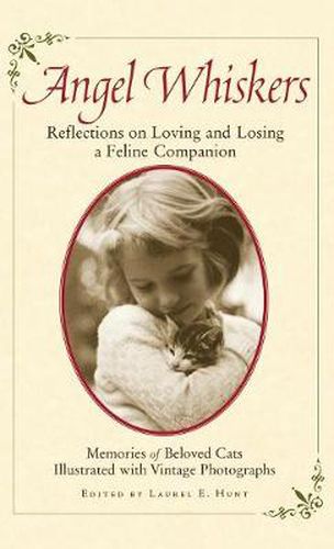 Cover image for Angel Whiskers: Reflections On Loving and Losing a Feline Companion