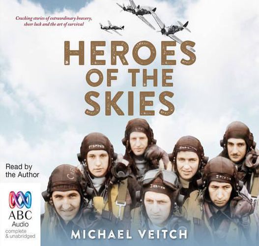 Cover image for Heroes Of The Skies
