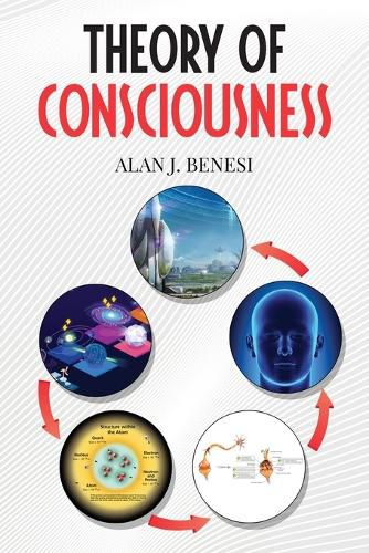 Cover image for Theory of Consciousness