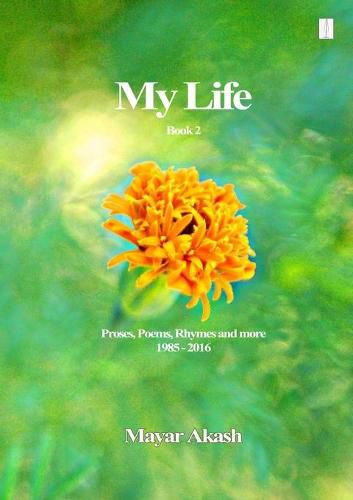 Cover image for My Life Book 2