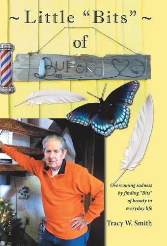 Little Bits of Buford: Overcoming sadness by Finding Bits of beauty in everyday life