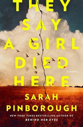 Cover image for They Say a Girl Died Here
