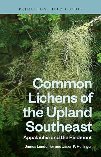 Cover image for Common Lichens of the Upland Southeast