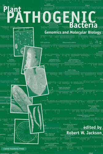 Cover image for Plant Pathogenic Bacteria: Genomics and Molecular Biology