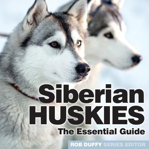 Cover image for Siberian Huskies: The Essential Guide