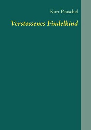 Cover image for Verstossenes Findelkind