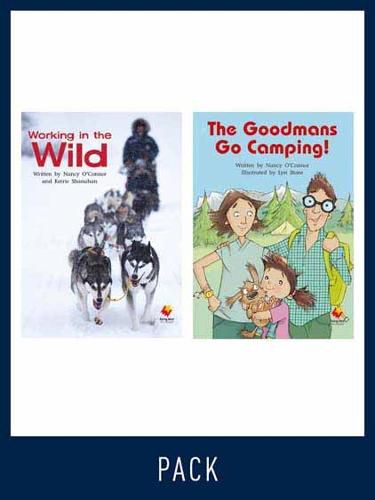 Cover image for Flying Start Guided Reading Level 26, Pack 3: Paired student books (6x6) and lesson plan (1)