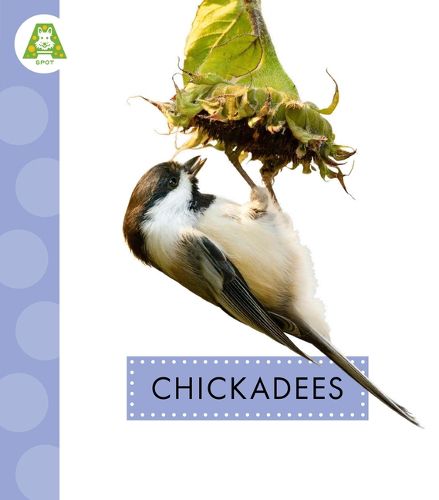 Cover image for Chickadees
