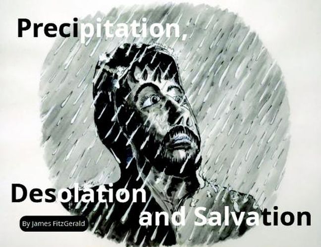 Cover image for Precipitation, Desolation and Salvation