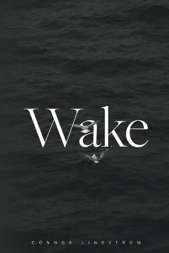 Cover image for Wake