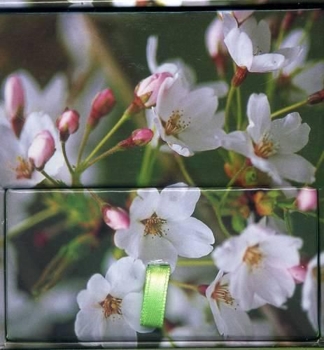 Cover image for Memo Block Cherry Blossom