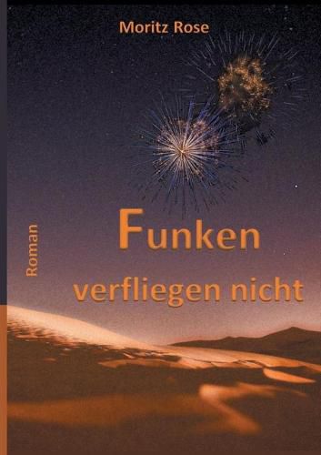Cover image for Funken verfliegen nicht: Vom Gluck, das sein koennte