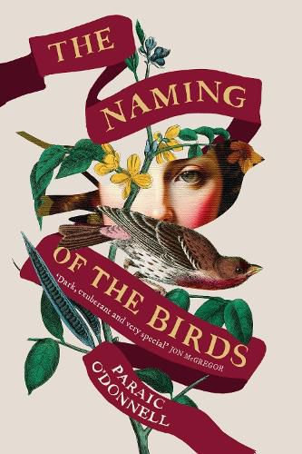 Cover image for The Naming of the Birds