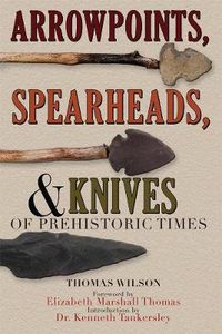 Cover image for Arrowpoints, Spearheads, and Knives of Prehistoric Times