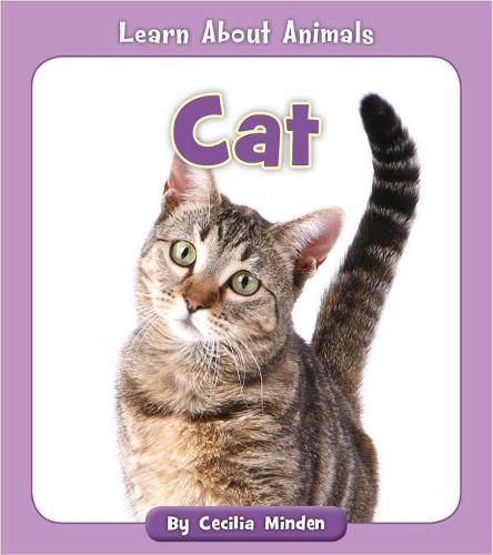 Cover image for Cat