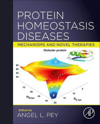 Cover image for Protein Homeostasis Diseases: Mechanisms and Novel Therapies