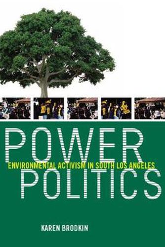 Cover image for Power Politics: Environmental Activism in South Los Angeles