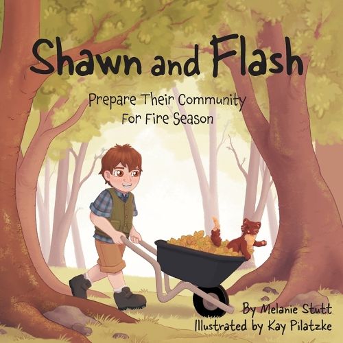 Cover image for Shawn and Flash