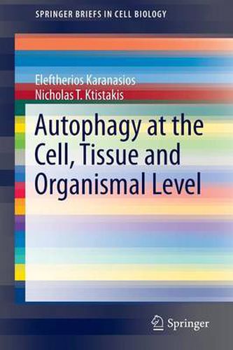 Cover image for Autophagy at the Cell, Tissue and Organismal Level