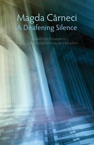 Cover image for A Deafening Silence