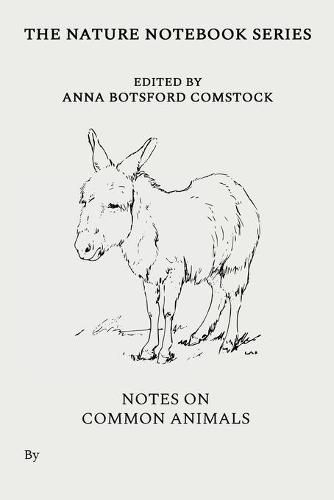 Cover image for Notes on Common Animals