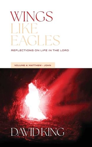 Cover image for Wings Like Eagles