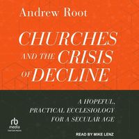 Cover image for Churches and the Crisis of Decline