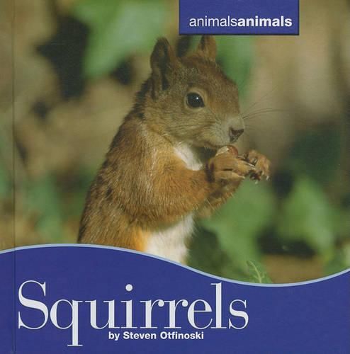 Cover image for Squirrels