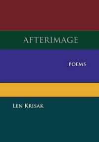 Cover image for Afterimage