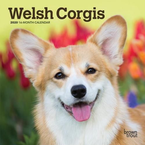 Welsh Corgis 2020 Mini Wall Calendar