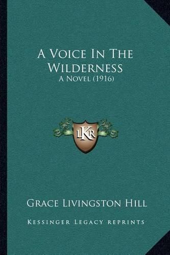 Cover image for A Voice in the Wilderness: A Novel (1916)