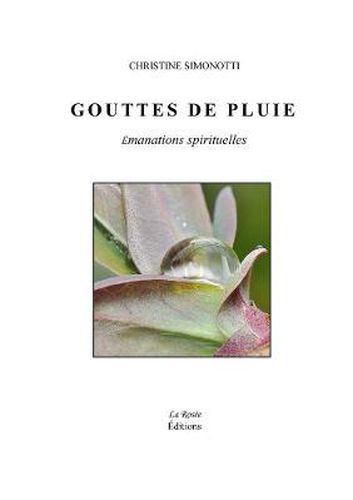 Cover image for Gouttes De Pluie