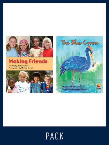 Cover image for Flying Start Guided Reading Pack Level 12, Pack 5: Paired student books (6x6) and lesson plan (1)