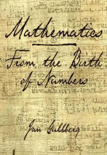 Cover image for Mathematics: From the Birth of Numbers