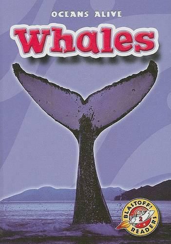 Cover image for Whales
